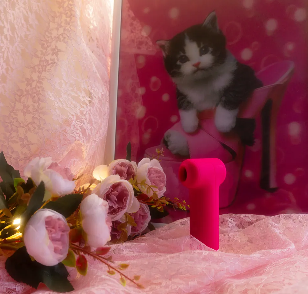 Lovense Fizz